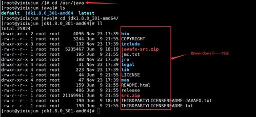 Linux系列（六） 手動命令安裝軟件與服務器基本環(huán)境搭建