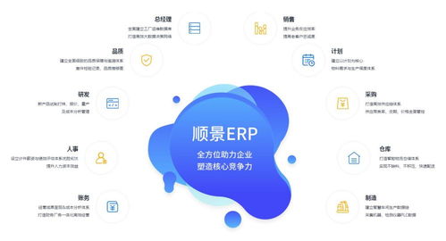 廣東順景軟件ERP系統(tǒng)在企業(yè)管理中的應(yīng)用意義與軟件服務(wù)深度解析