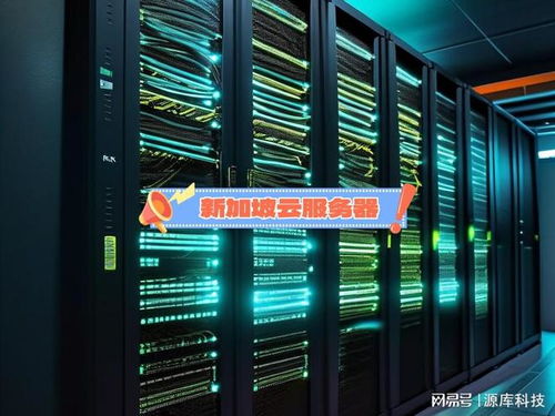 新加坡云服務(wù)器租用關(guān)鍵因素 數(shù)據(jù)處理與存儲(chǔ)支持服務(wù)解析
